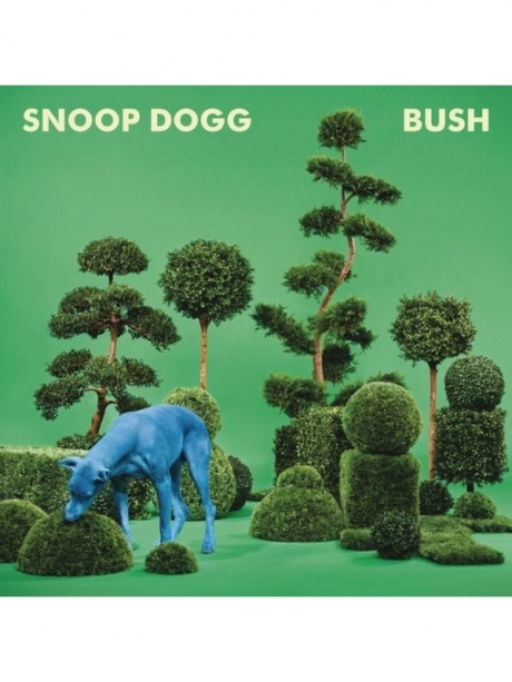 Музыкальный cd (компакт-диск) Bush обложка