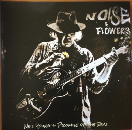 Noise & Flowers