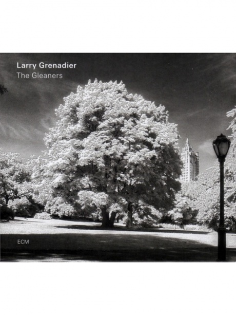 Музыкальный cd (компакт-диск) The Gleaners обложка