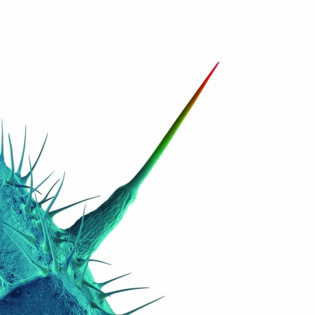 And I’ll Scratch Yours