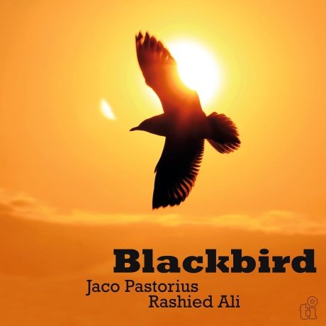 Виниловая пластинка Blackbird  обложка