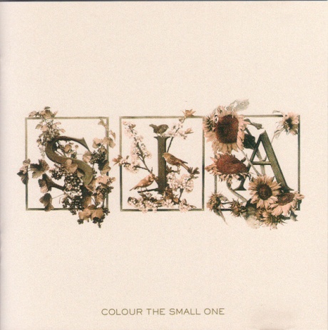 Colour The Small One
