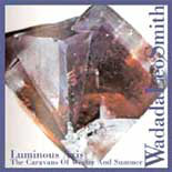 Музыкальный cd (компакт-диск) Luminous Axis обложка