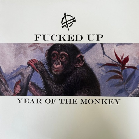 Year Of The Monkey