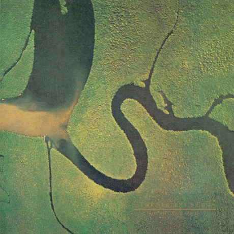 Виниловая пластинка The Serpent's Egg  обложка