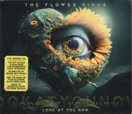 Look At You Now