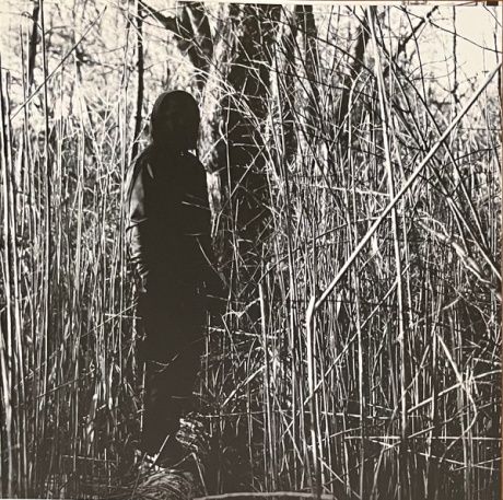 Today, I Wrote Nothing