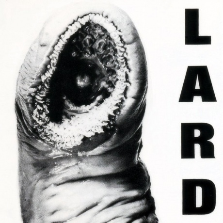 The Power Of Lard EP