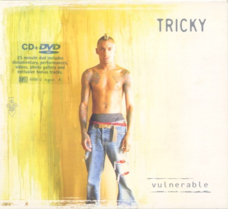 Музыкальный cd (компакт-диск) Vulnerable обложка