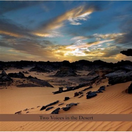 Музыкальный cd (компакт-диск) Two Voices In The Desert обложка