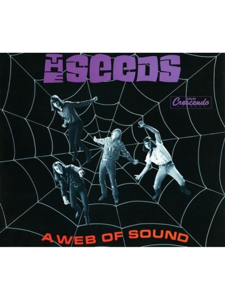A Web Of Sound