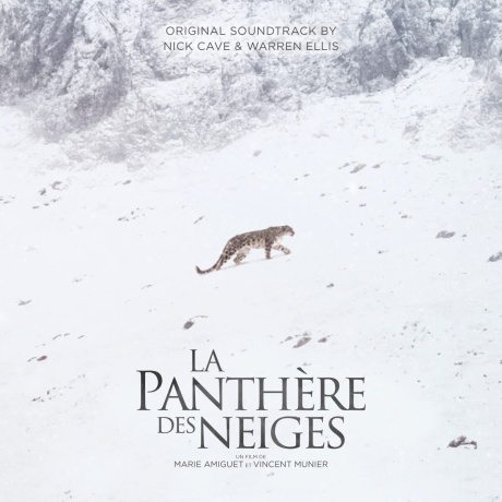 La Panthere Des Neiges