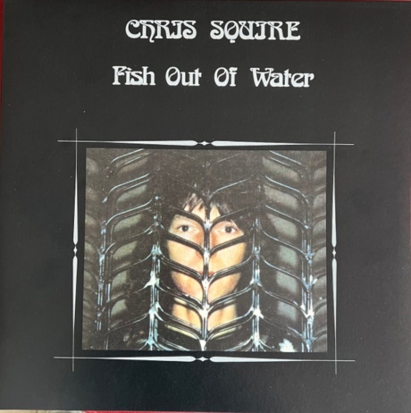 Fish Out Of Water