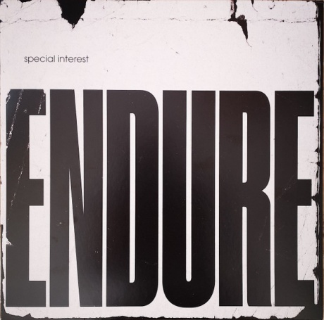 Виниловая пластинка Endure  обложка