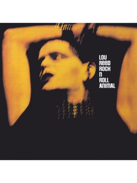 Rock N Roll Animal