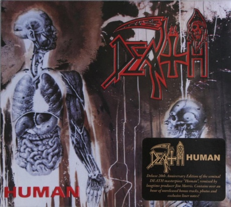 Human