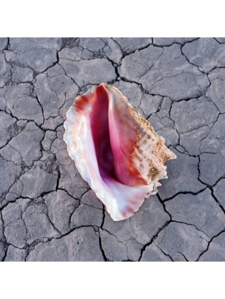 Wonderful Wonderful - Deluxe