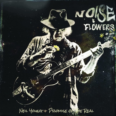 Виниловая пластинка Noise & Flowers  обложка