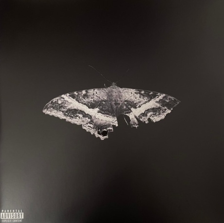 To Pimp A Butterfly