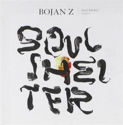 Музыкальный cd (компакт-диск) Soul Shelter обложка