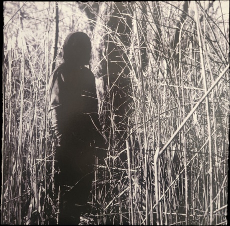 Today, I Wrote Nothing