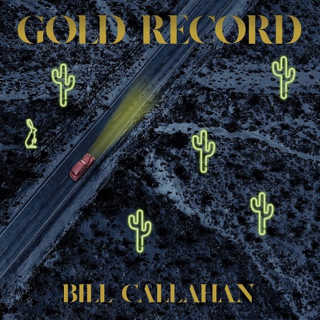 Виниловая пластинка Gold Record  обложка