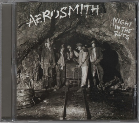Музыкальный cd (компакт-диск) Night In The Ruts обложка