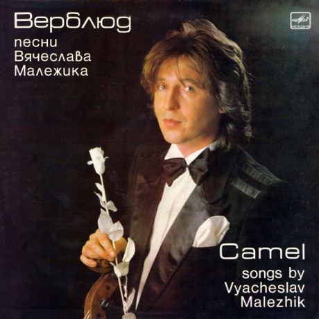 Верблюд