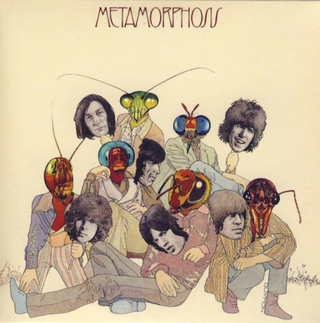 Metamorphosis