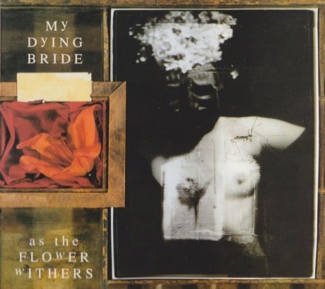 As The Flower Withers