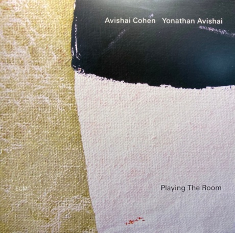 Виниловая пластинка Playing The Room  обложка