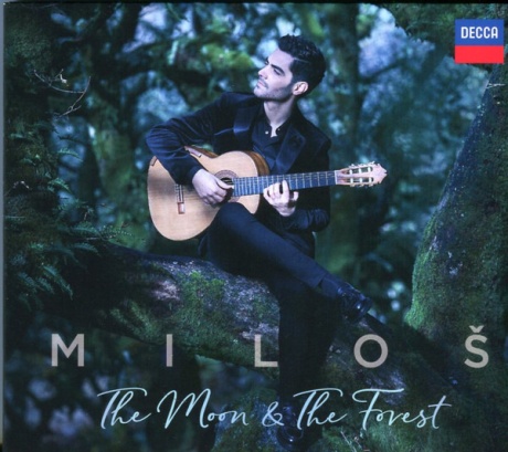 The Moon & The Forest