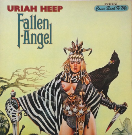 Виниловая пластинка Fallen Angel  обложка