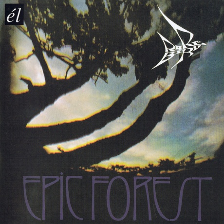 Epic Forest