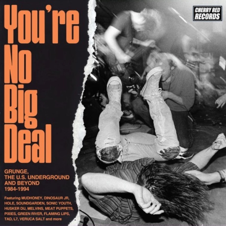 You’re No Big Deal (Grunge, The U.S. Underground And Beyond 1984-1994)