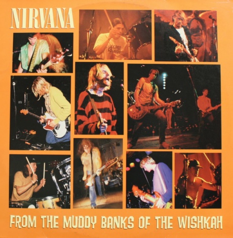 Виниловая пластинка From The Muddy Banks Of The Wishkah  обложка