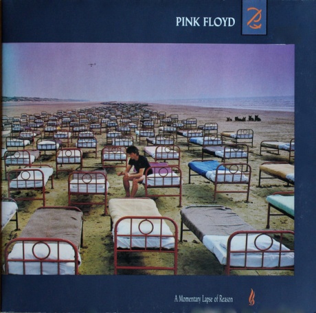A Momentary Lapse Of Reason