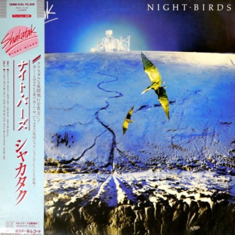  Night Birds