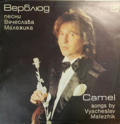 Верблюд
