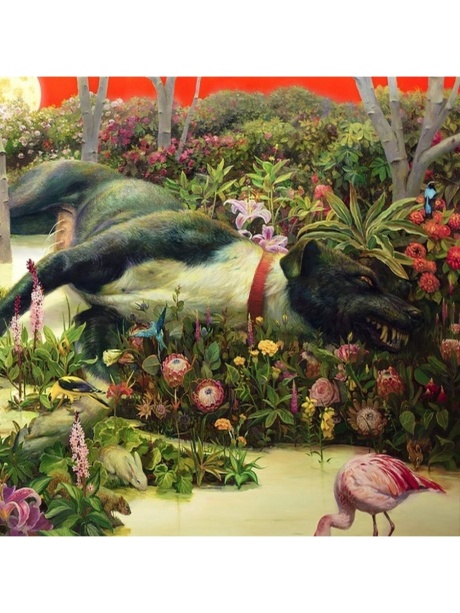 Feral Roots
