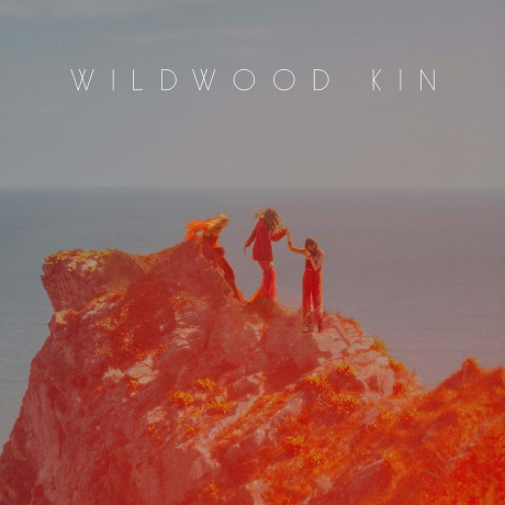 Виниловая пластинка Wildwood Kin  обложка