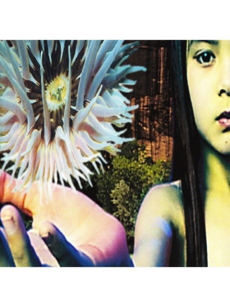 Lifeforms