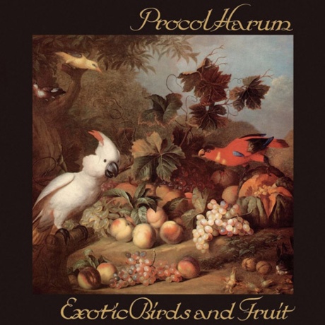 Exotic Birds And Fruit