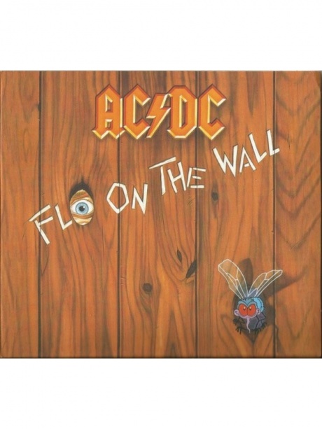 Fly On The Wall
