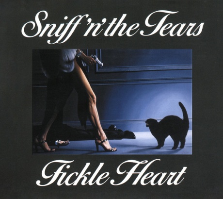 Fickle Heart